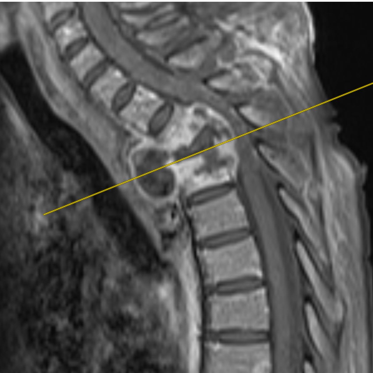 David Tafur Muñoz-2133