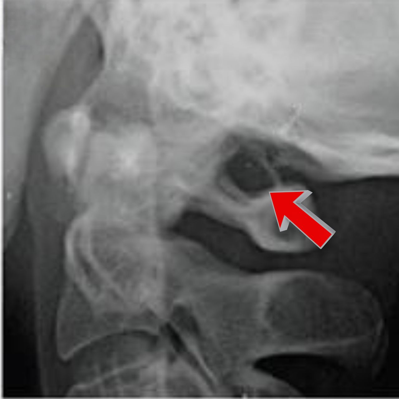 David Tafur Muñoz-2253