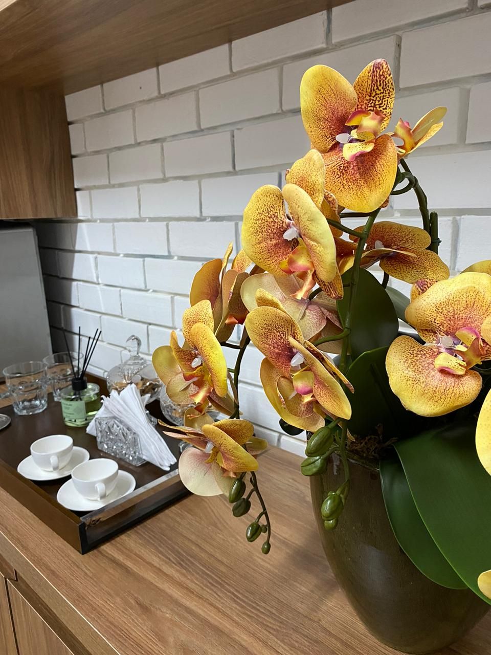 Ana Paula Adler Borges-11