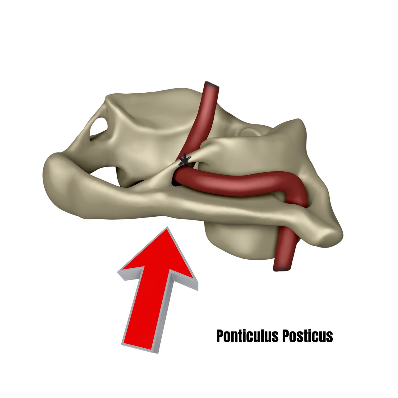 David Tafur Muñoz-2277