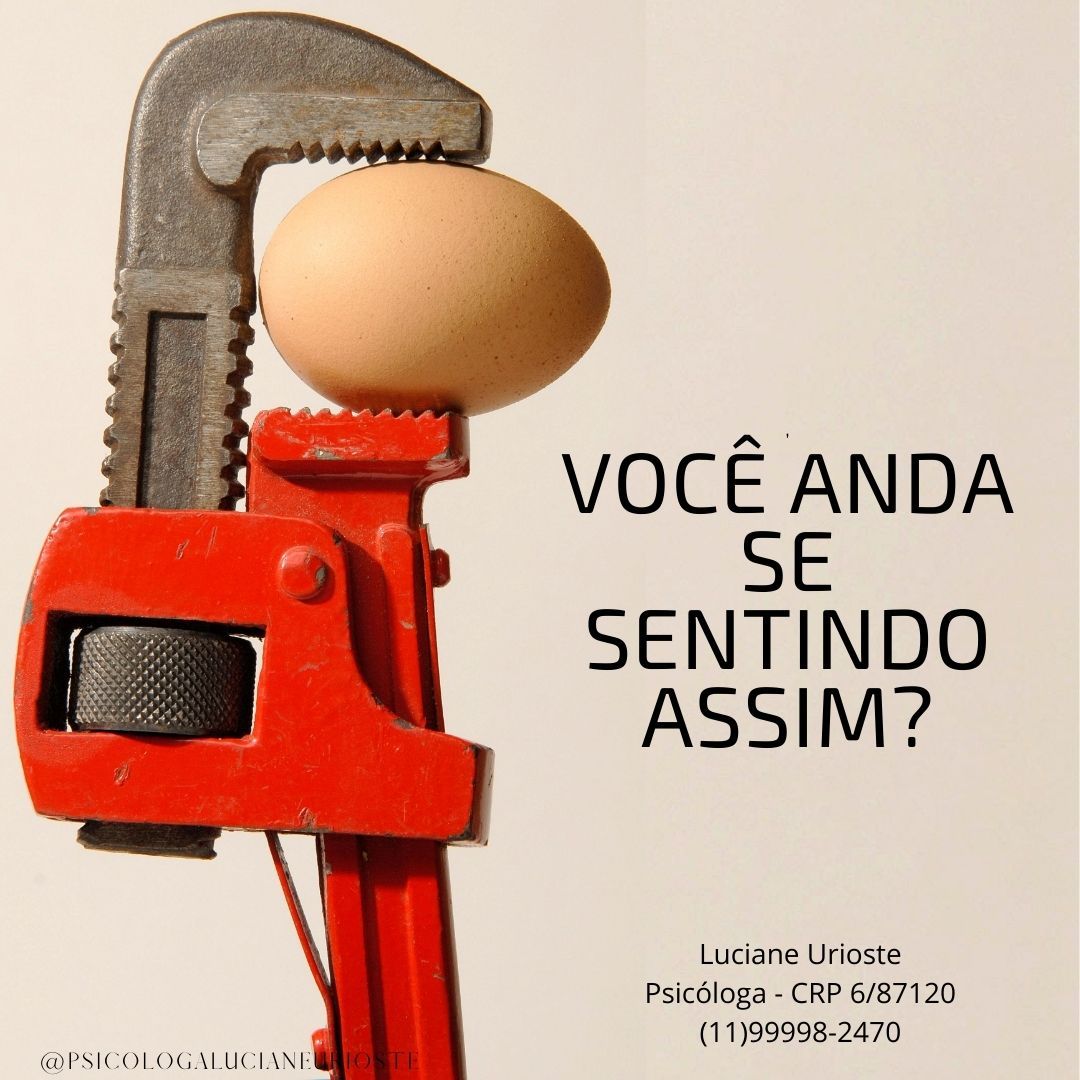 Luciane Urioste De Souza-8