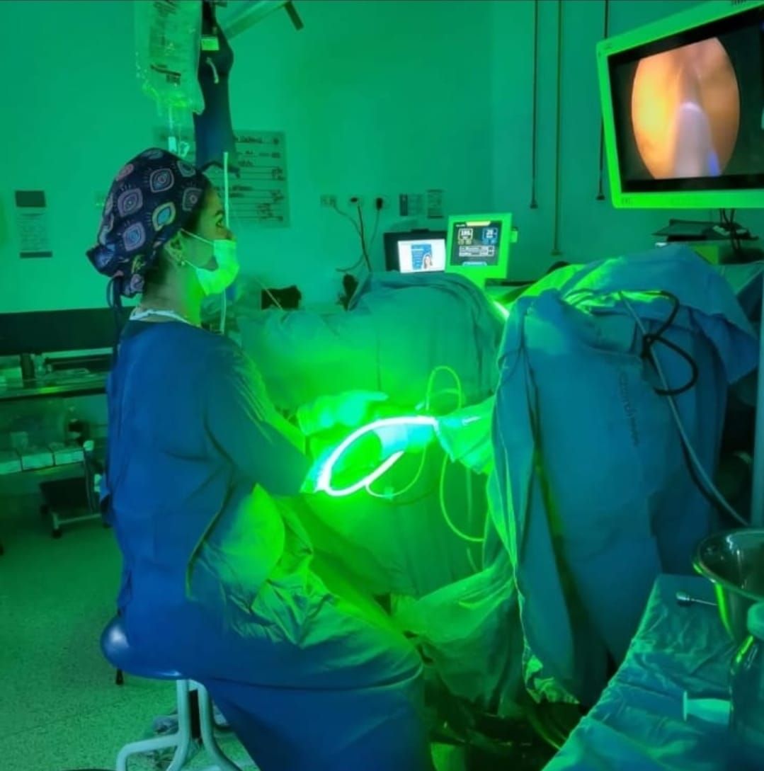 Paula Andrea Villegas Duque-7