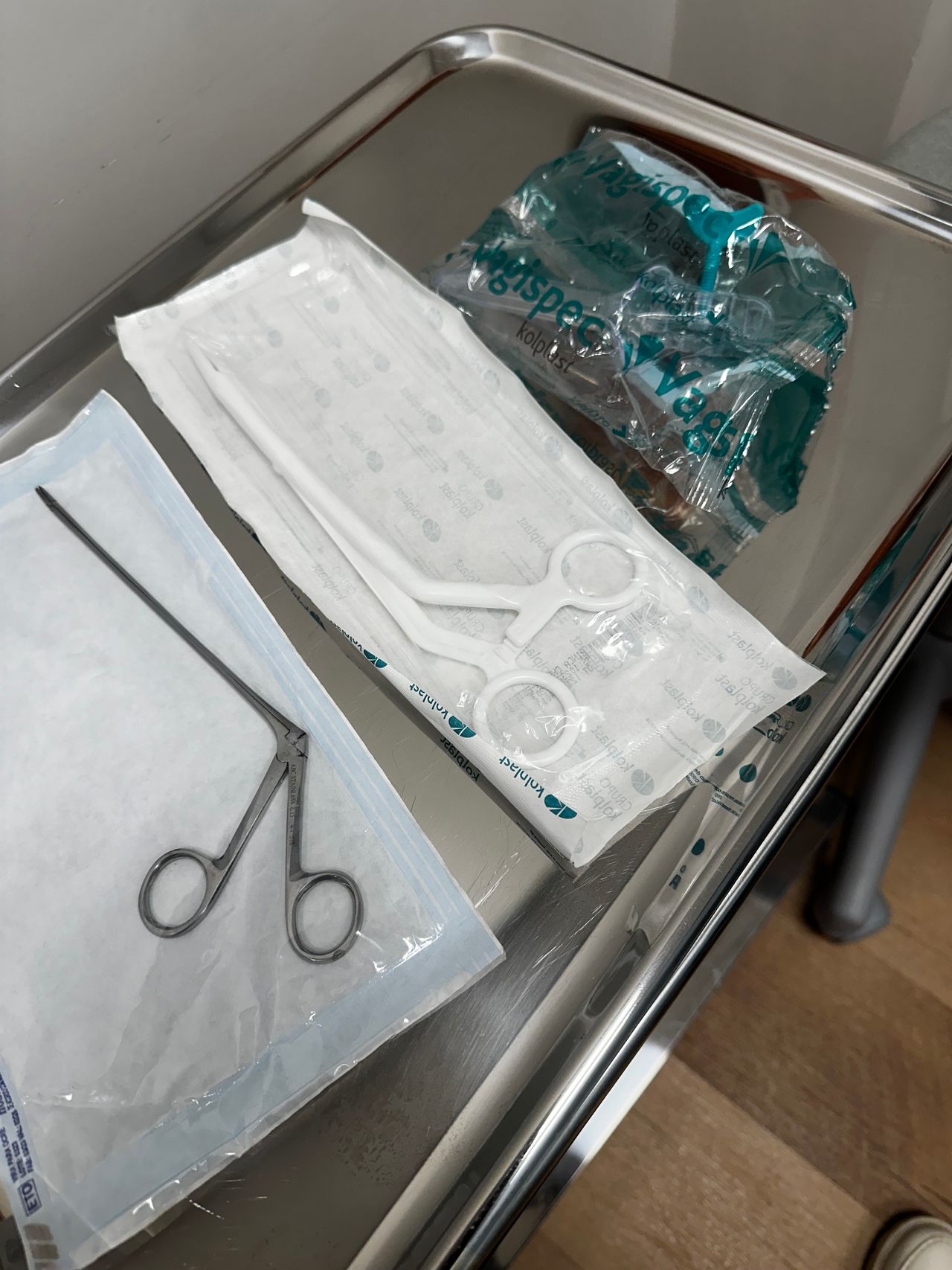 Iramis Maria Camejo Solano-4