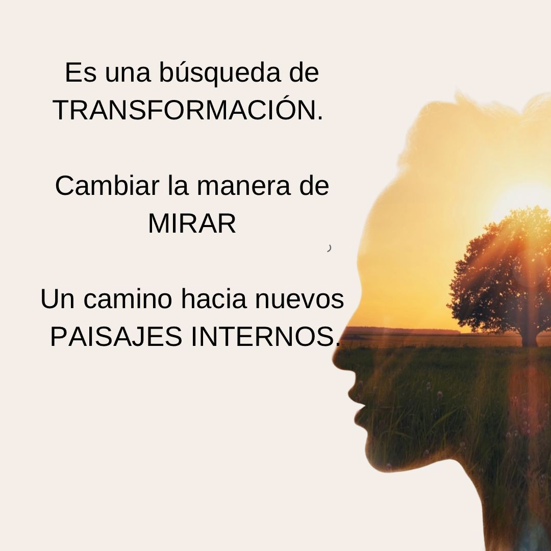 Eliana Janet Ditomassi-5