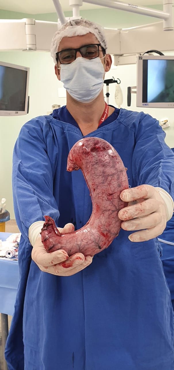 Pablo Nelson Do Valle Hubner-2