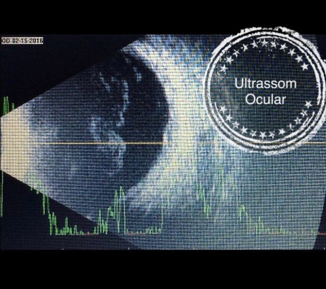 Daniela Erthal Righi Vieira-16