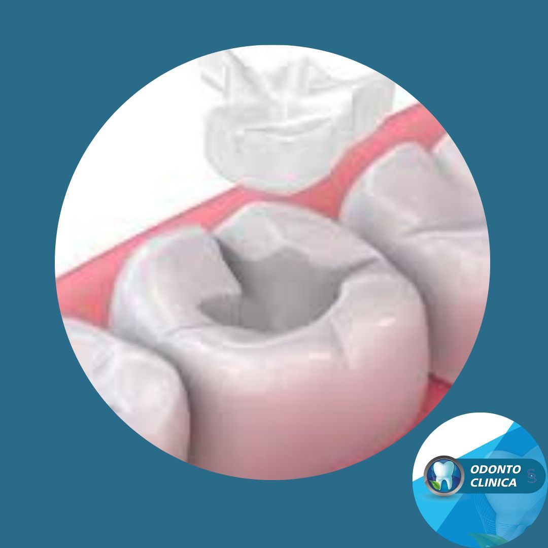 Cecilia Inés Socias Altamirano-33