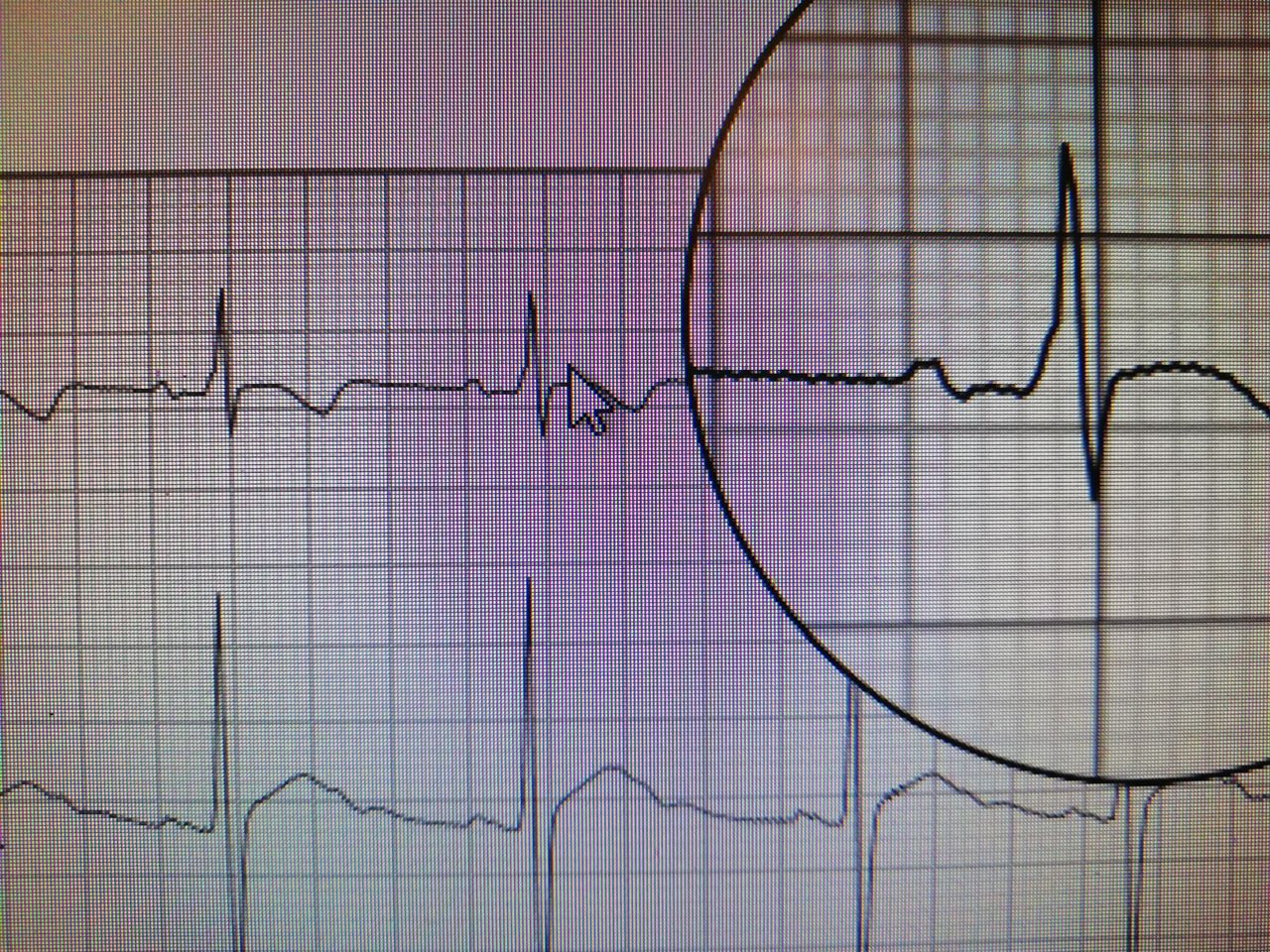 José Flores Higuita-15