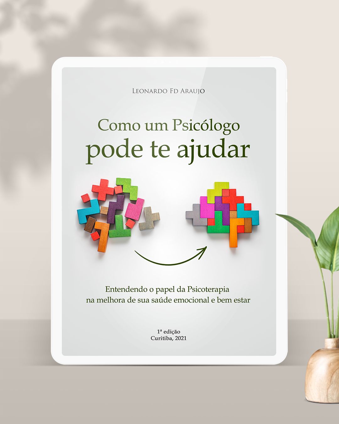 Leonardo Fd Araujo-1