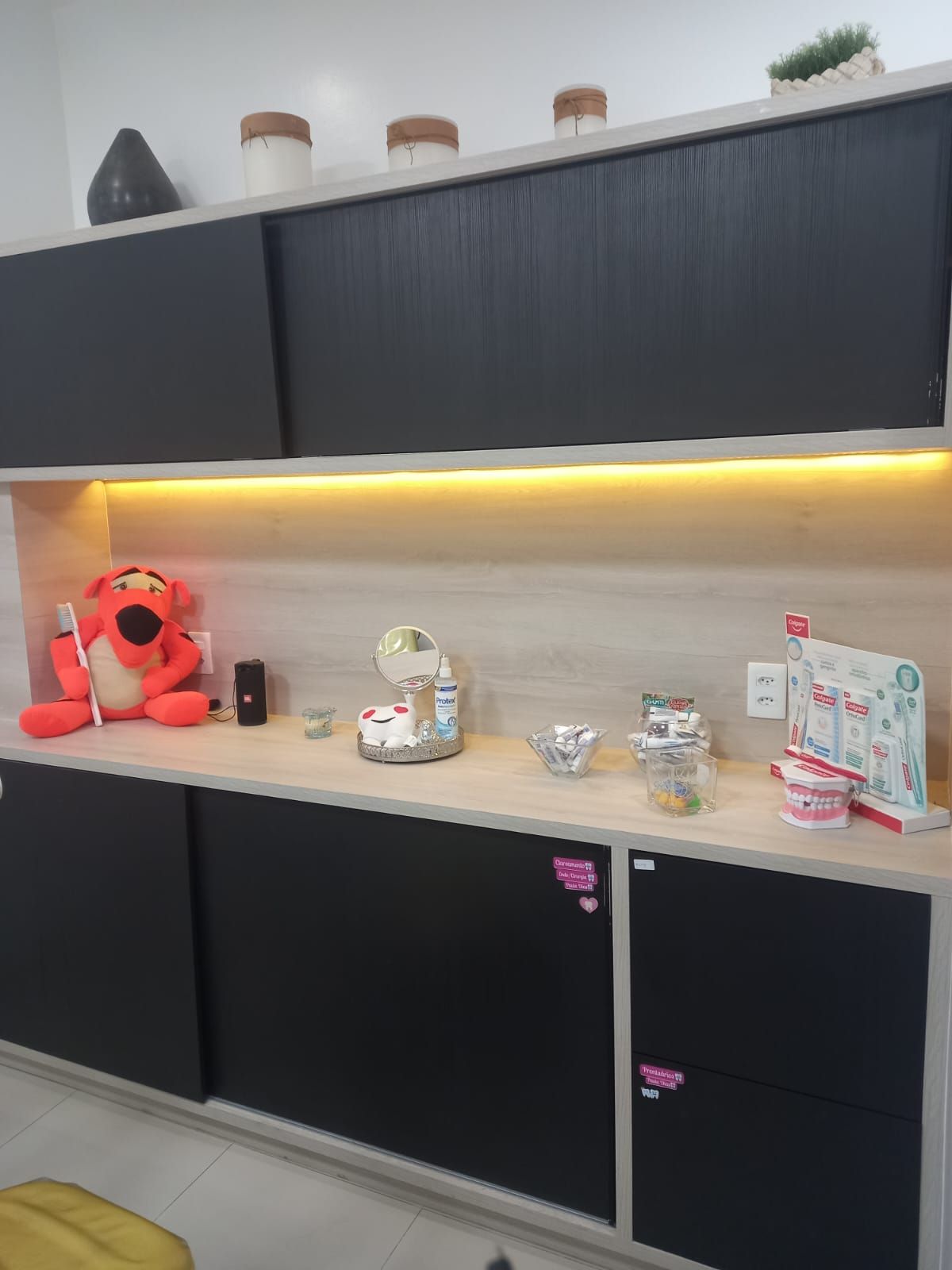 Paula Veridiana Uehbe Dias-2