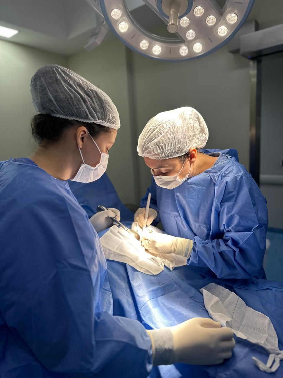 Elizabeth Bittencourt-11