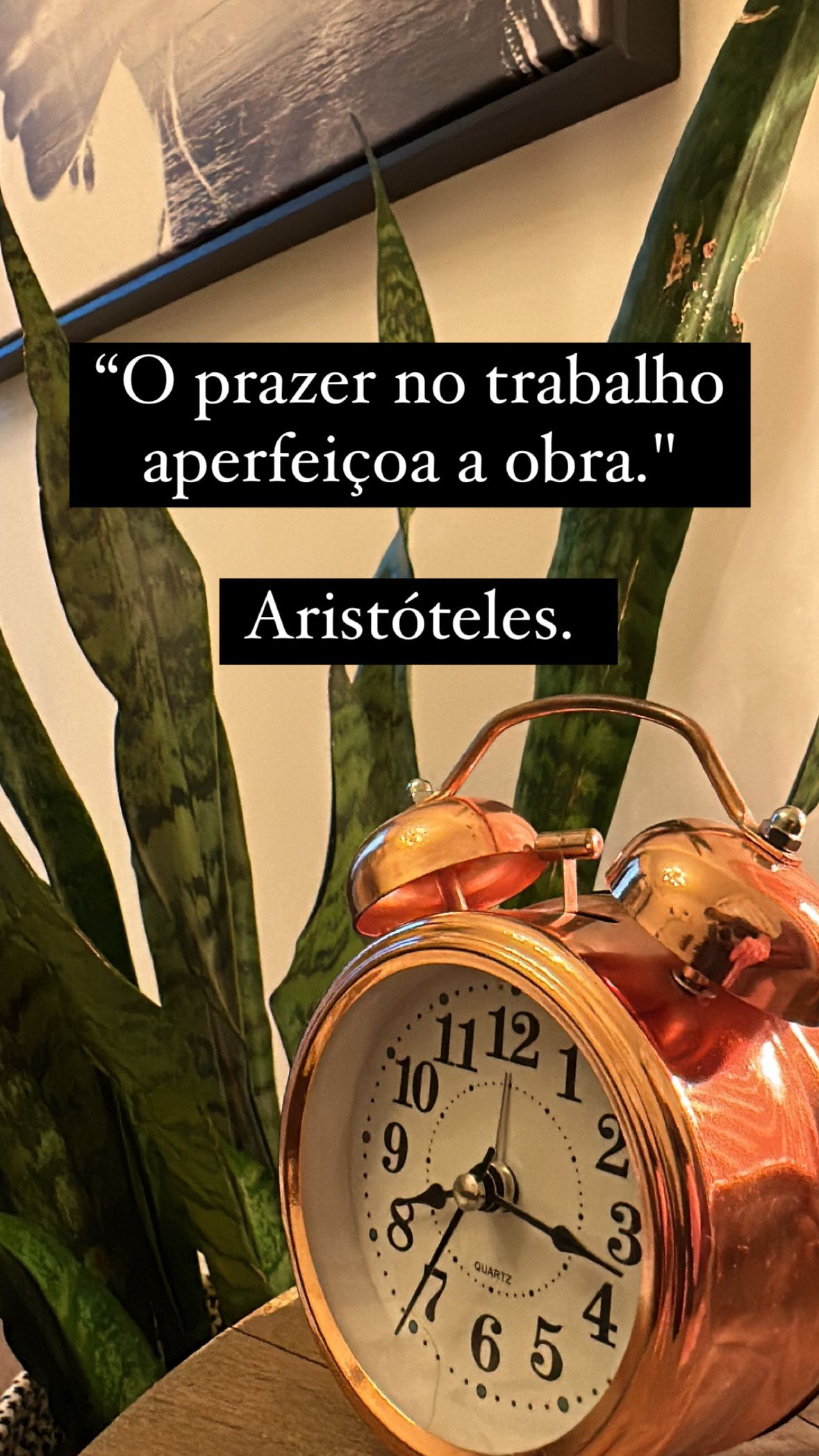 Luciana Fortunato-14