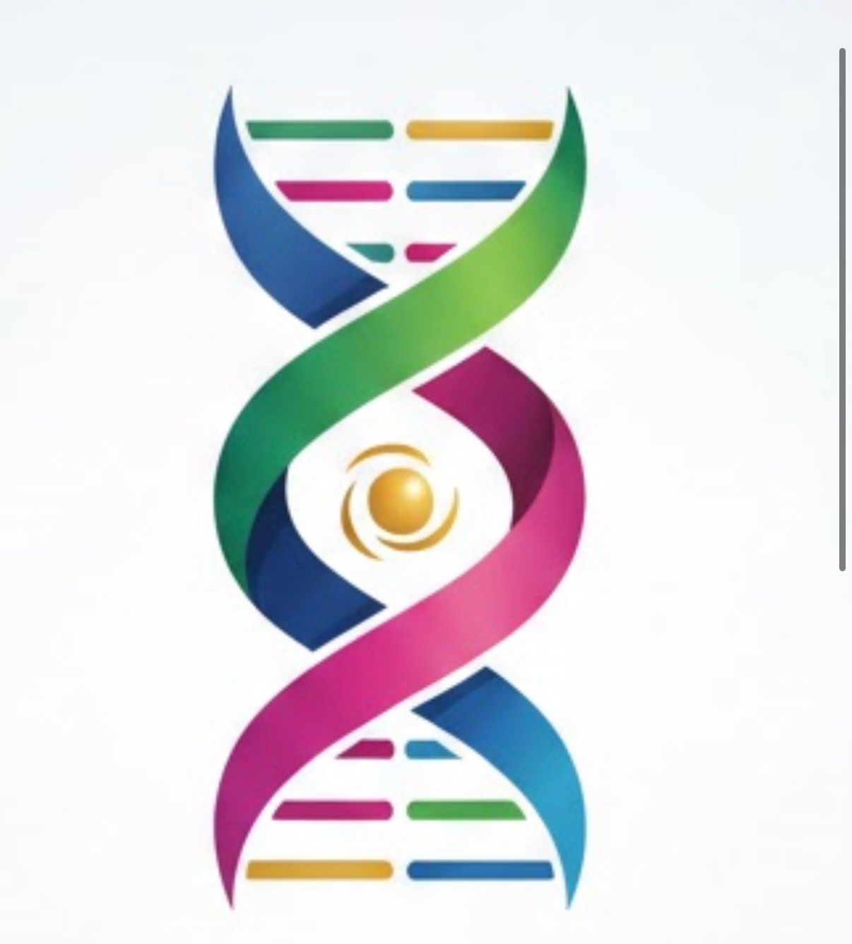 Murilo Cazellato   Pacheco De Mello-0