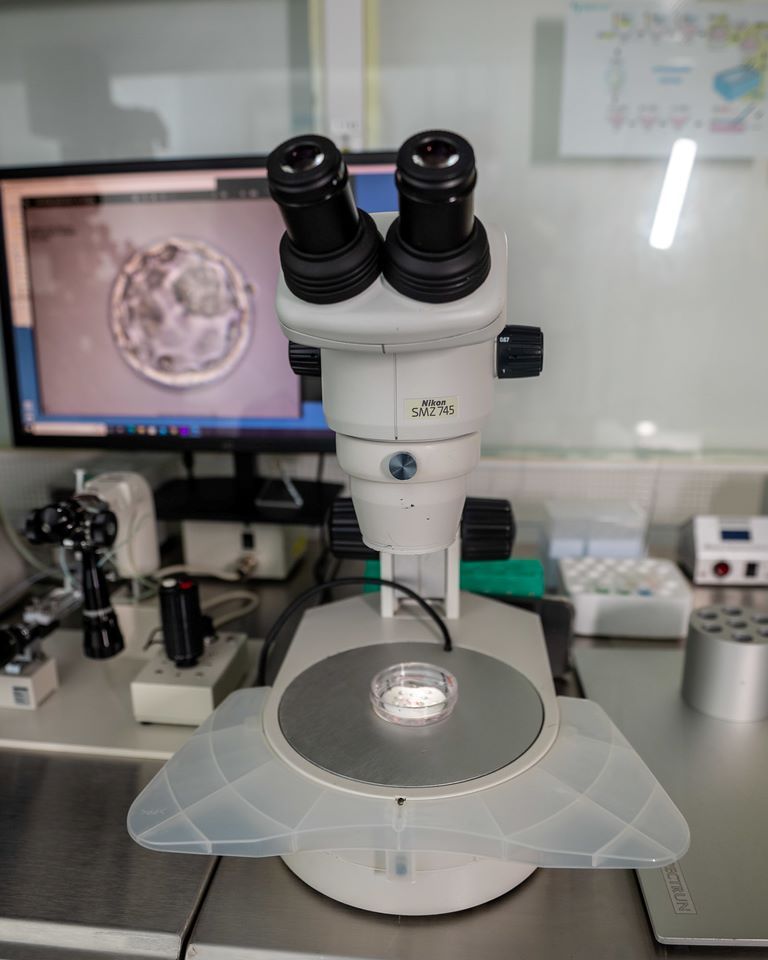 Francisco De Assis Nunes Pereira-15