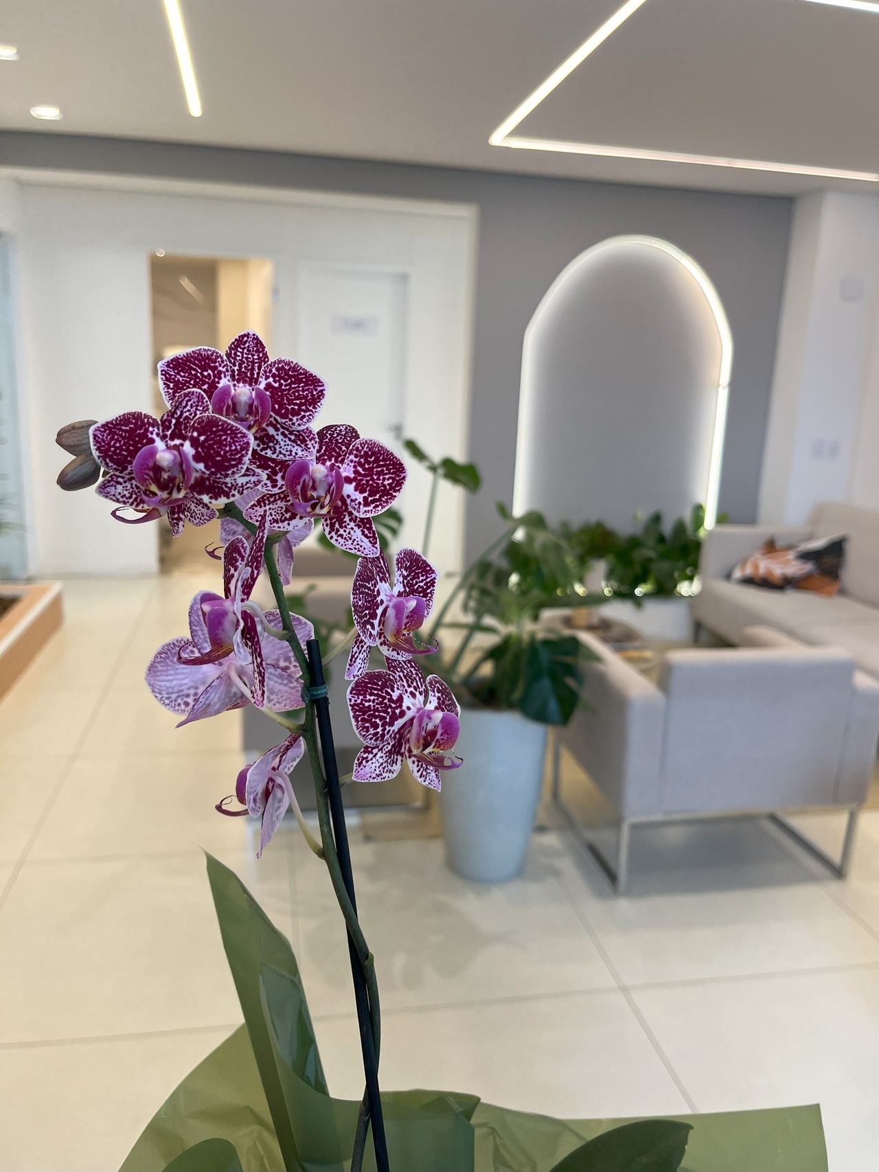 Roberta Fittipaldi-4