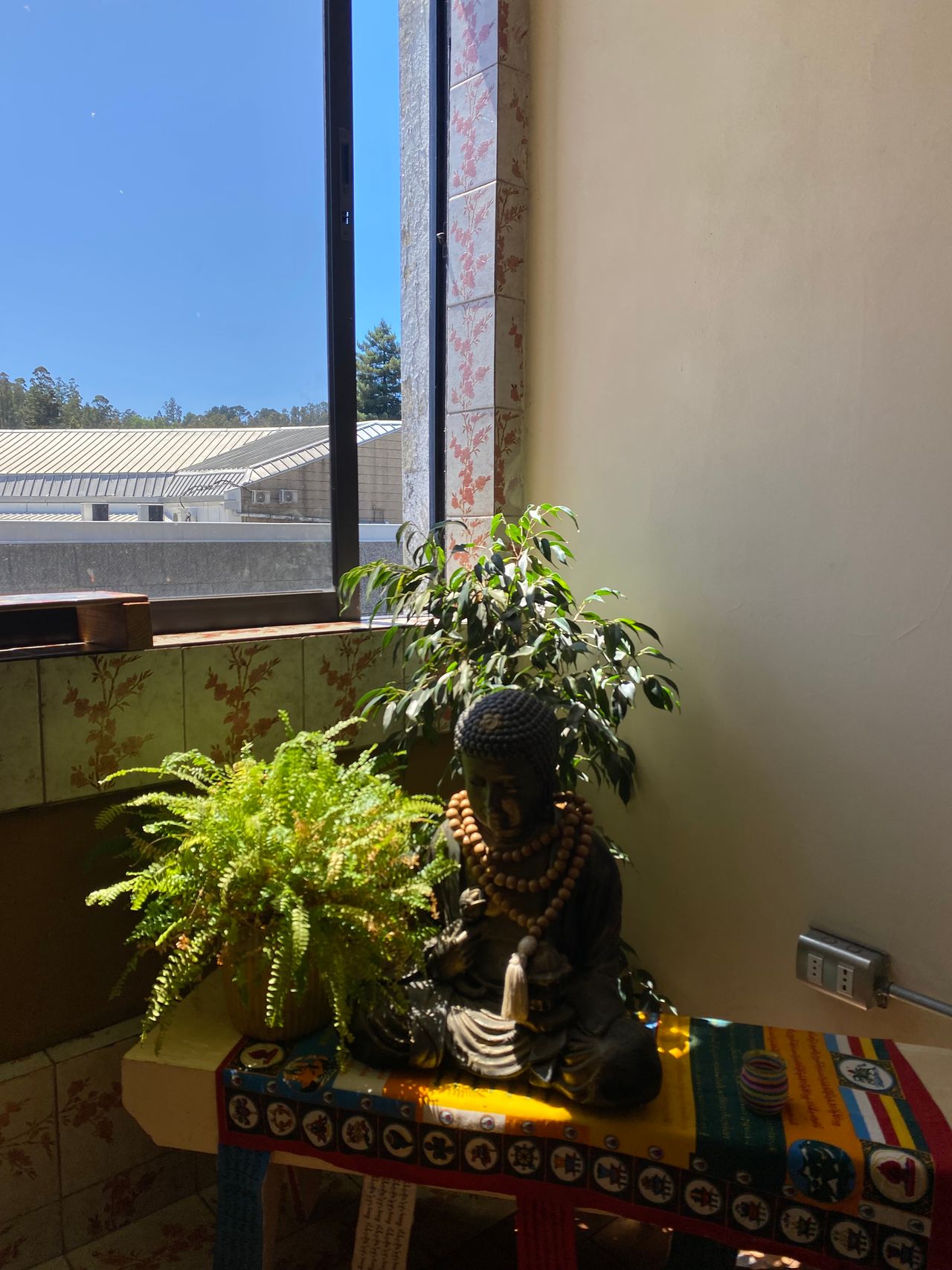 Javiera Cifuentes Meza-4