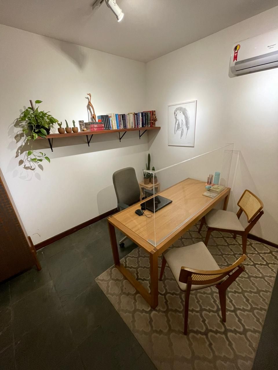 Cássia Dummar Pontes-4