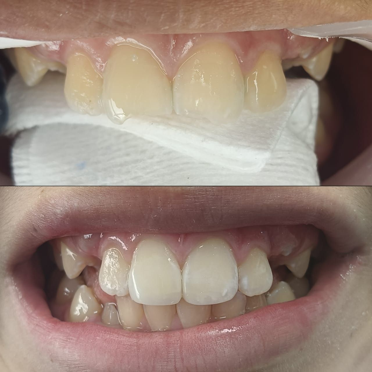 Sharon Andrea Waldo Nicholls-3