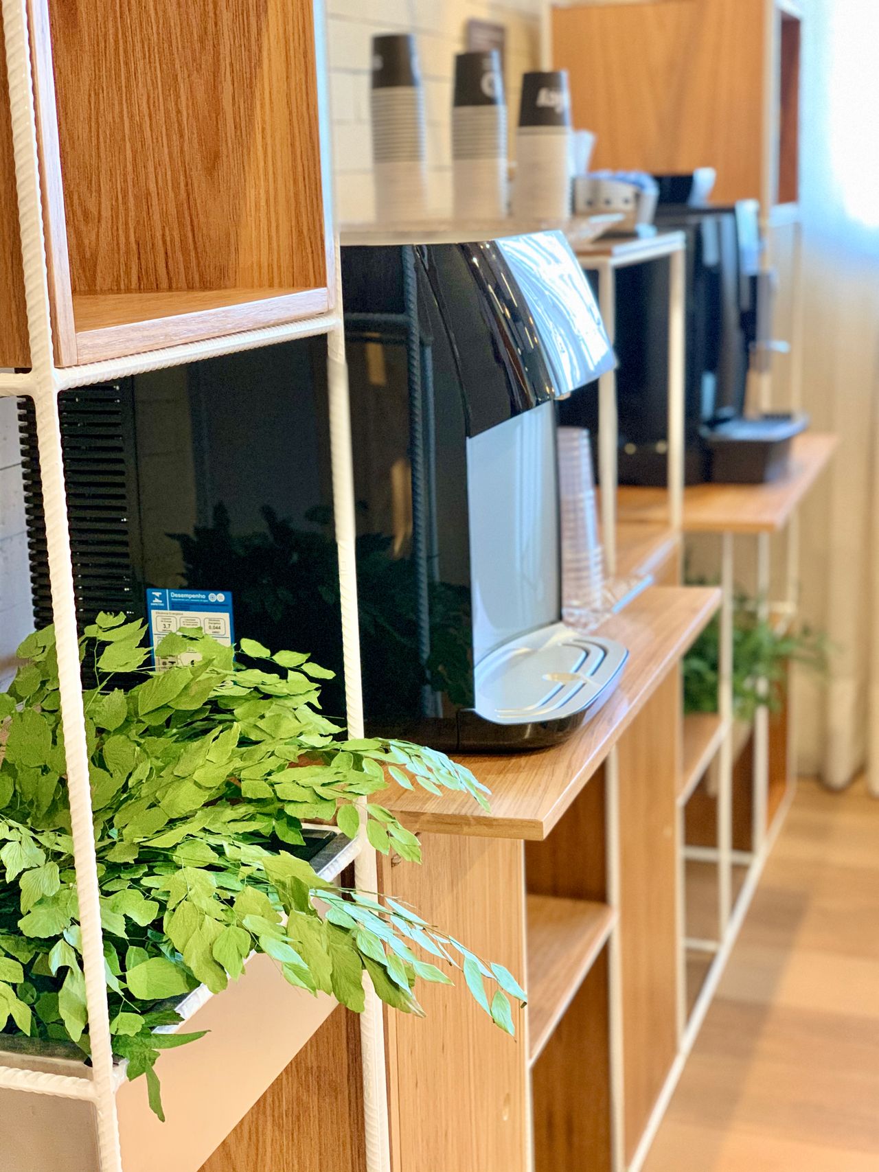 Victor Leal De Vasconcelos-15