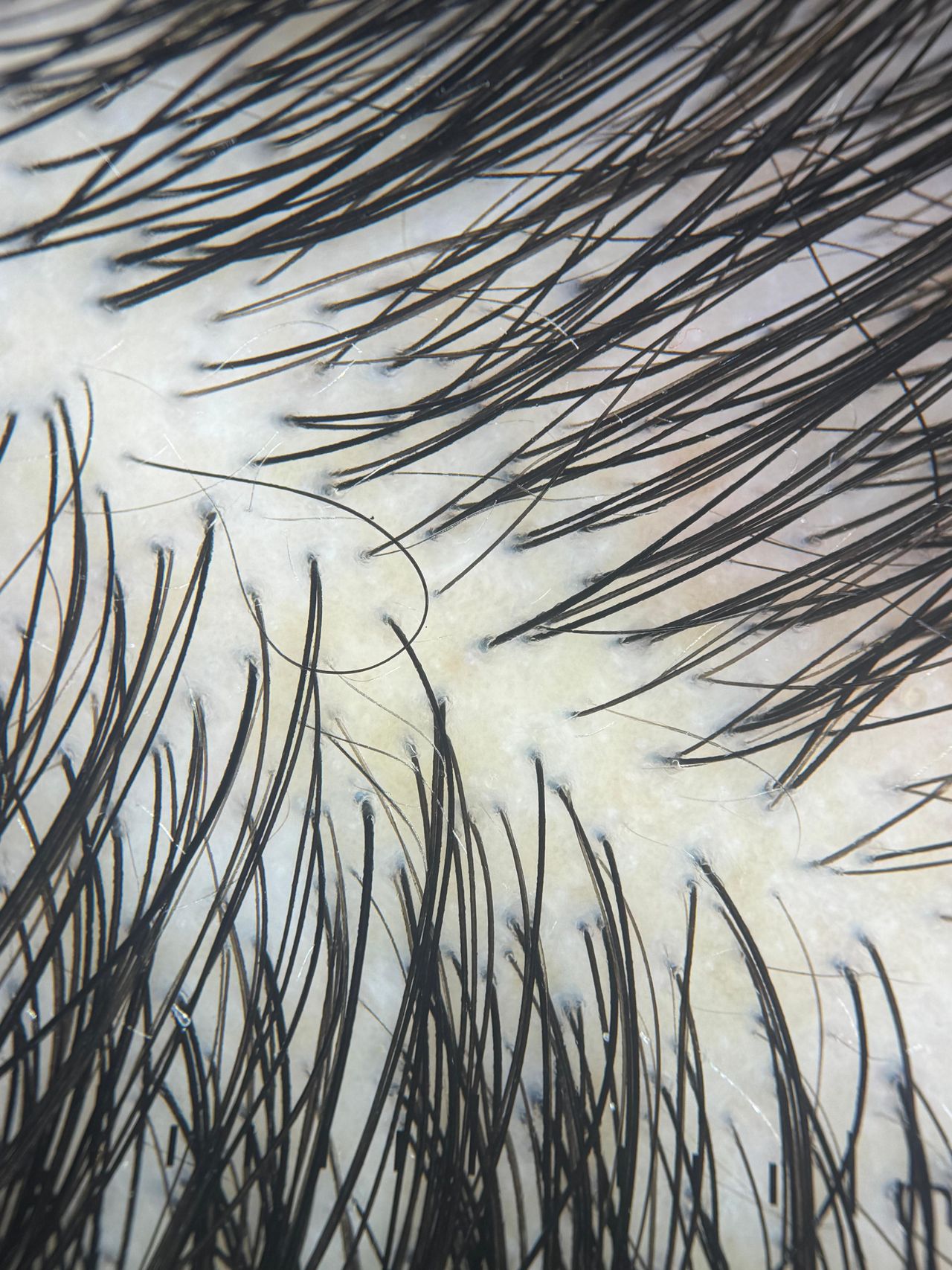 Dina Fabricio Da Silva-5