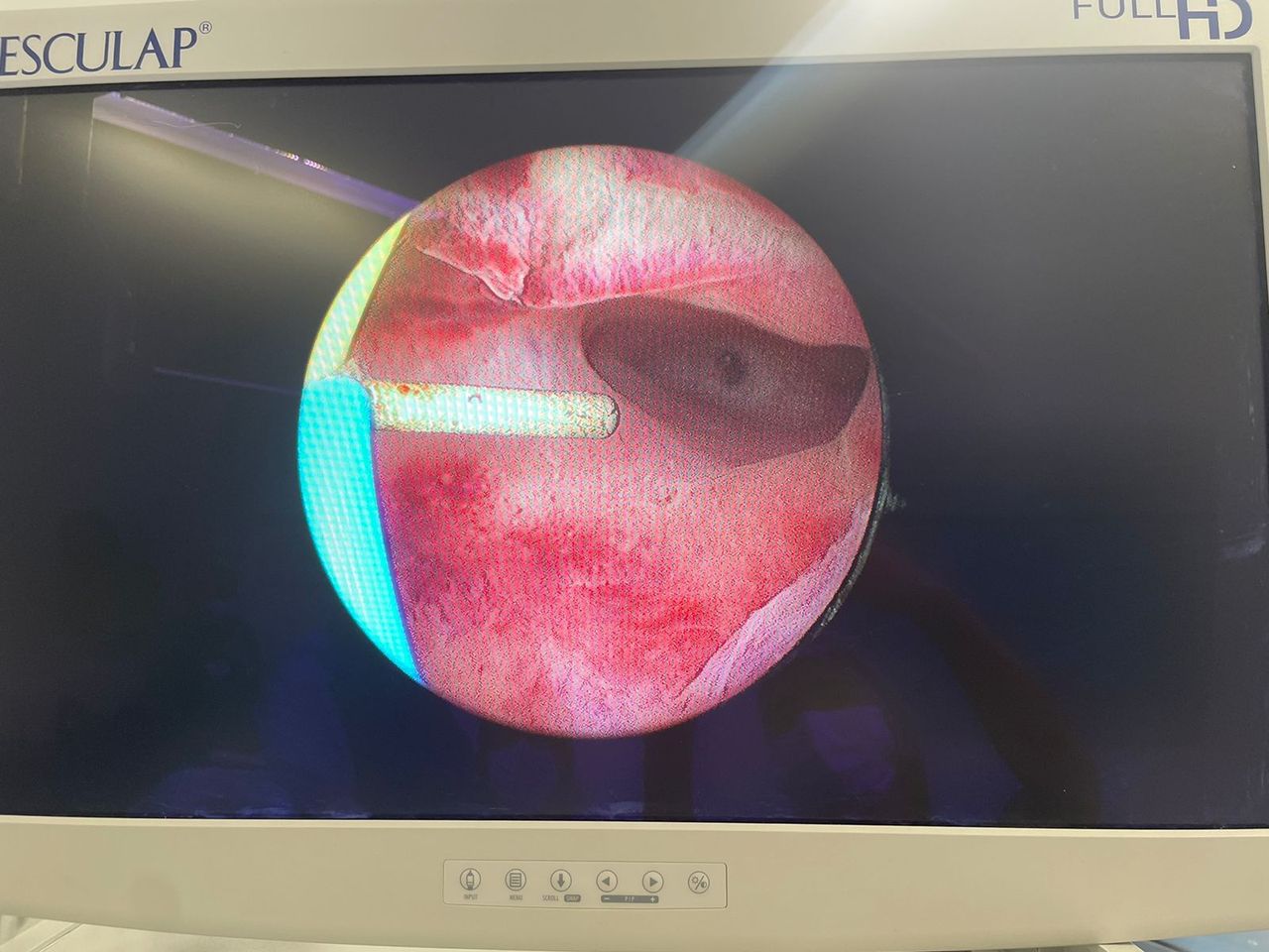 João Guilherme Pinto Vinagre-7