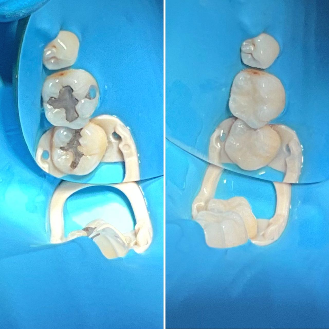 Camila Morales Cespedes-8