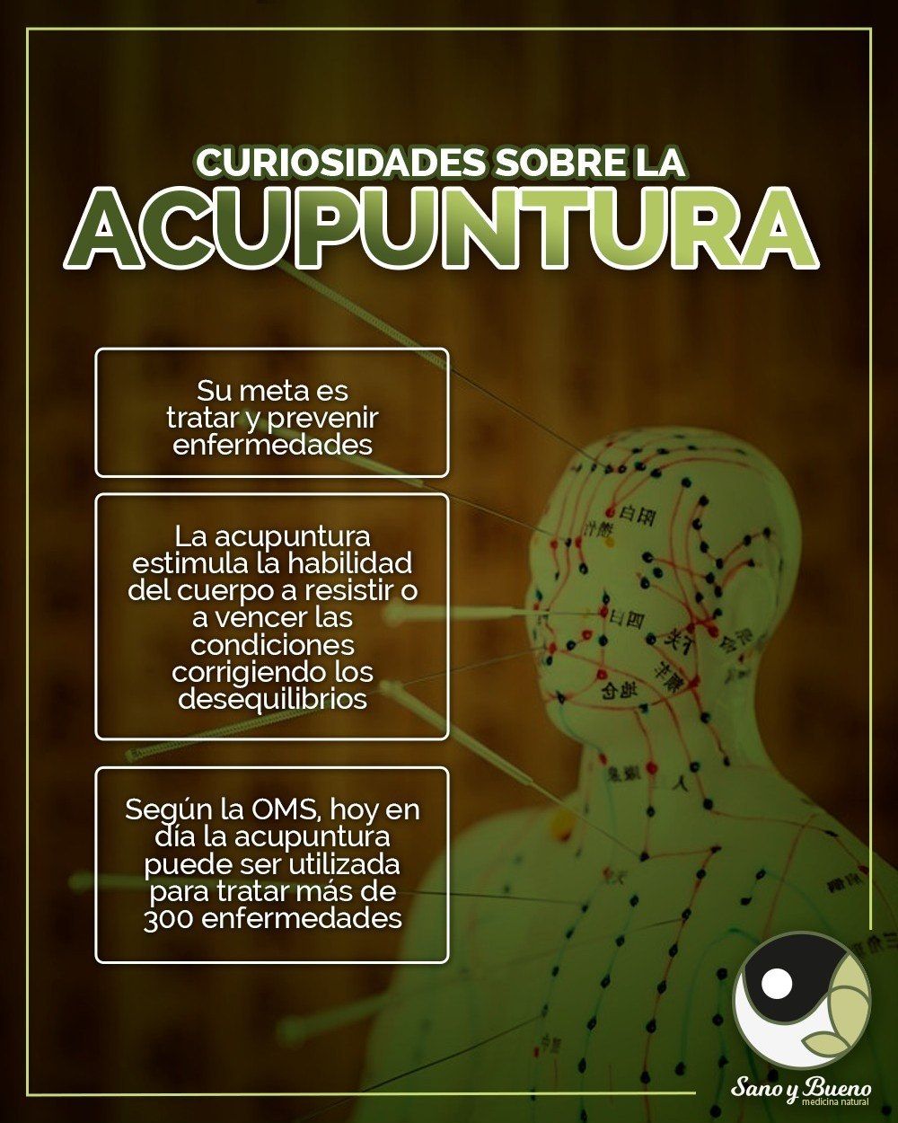 Guillermo Portugal-16