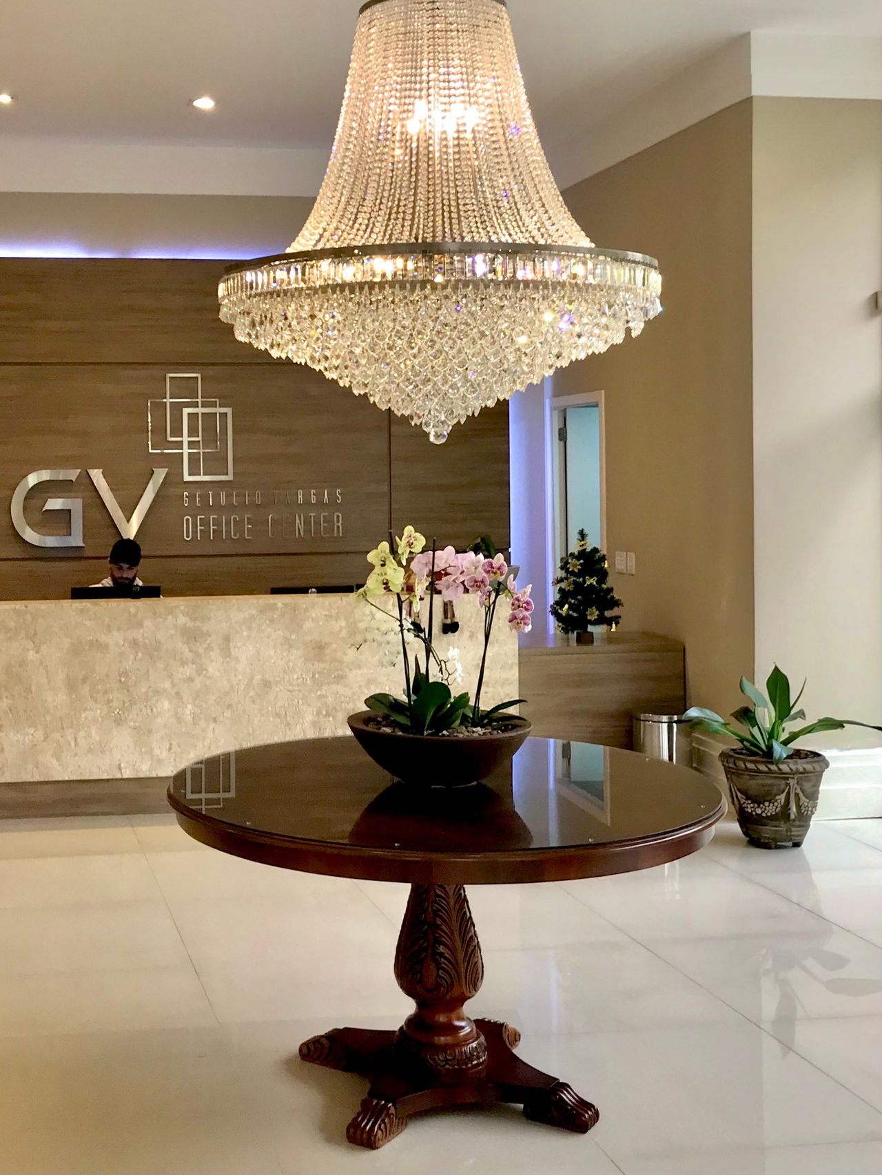 Marcelo Araujo Siqueira-1