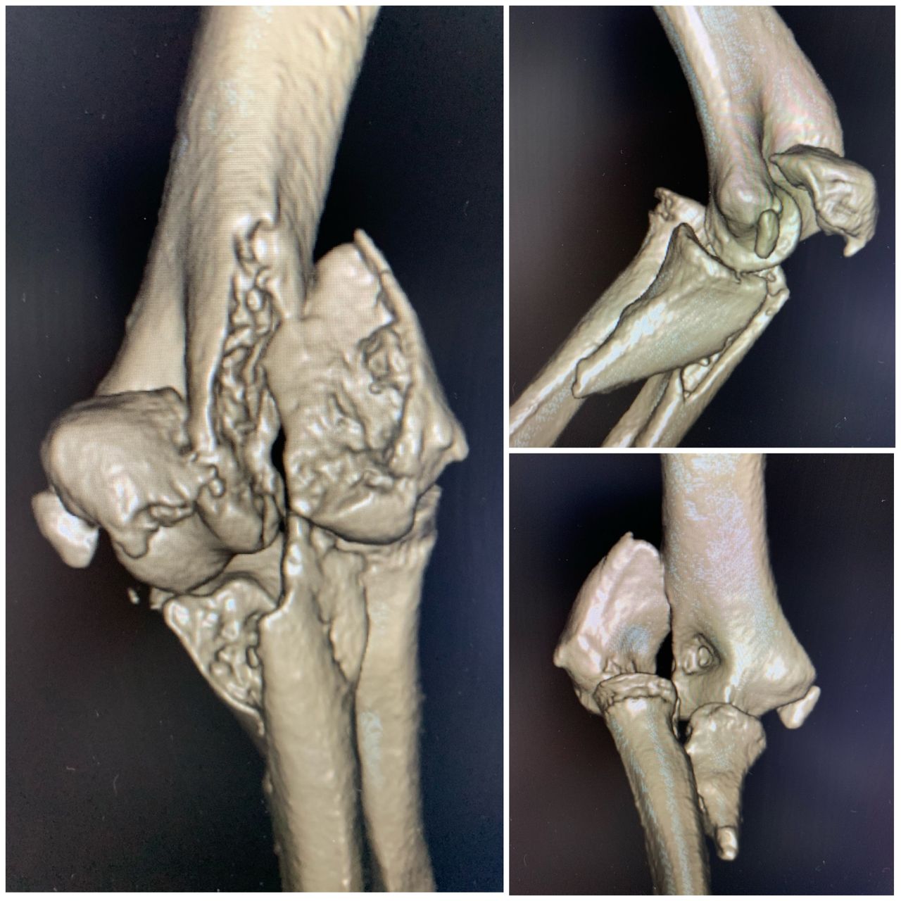 Carlos Moreno Castillo-15