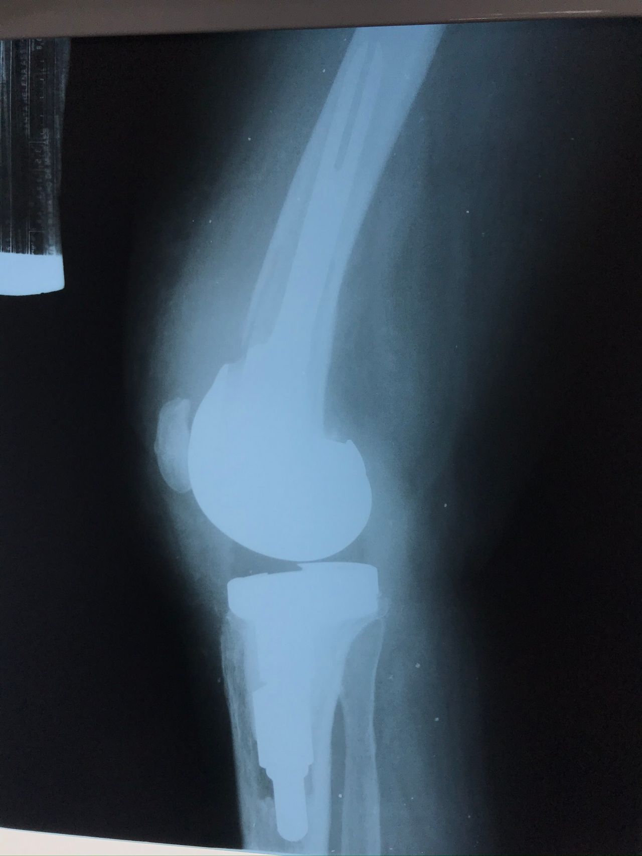 Eduardo Ramalho De Moraes-16