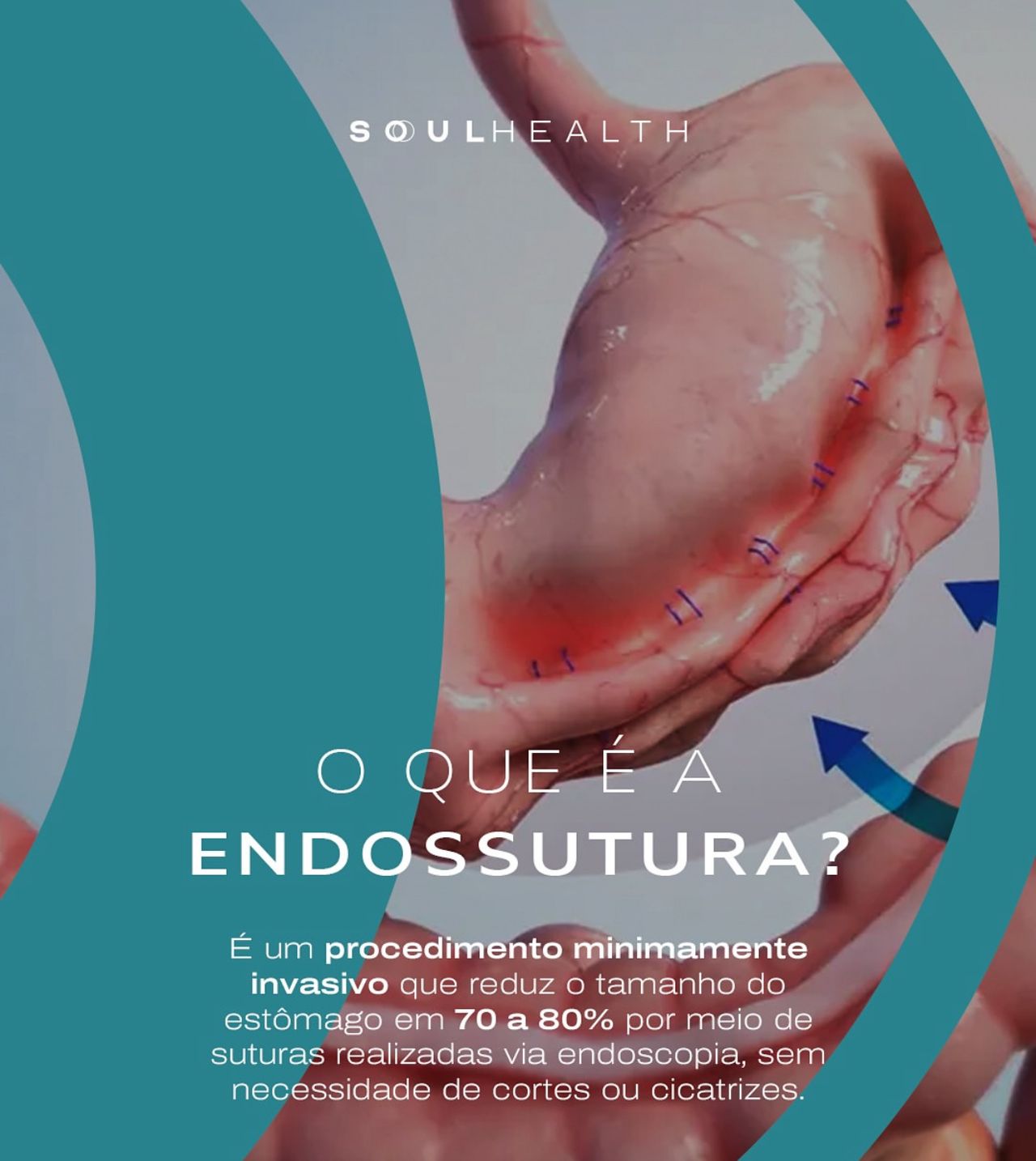 Fábio Miranda Ribeiro-0