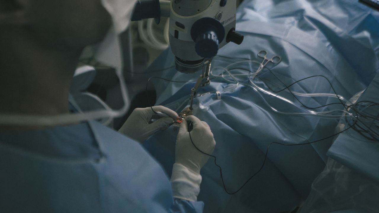 Carlos Augusto Moreira Neto-11