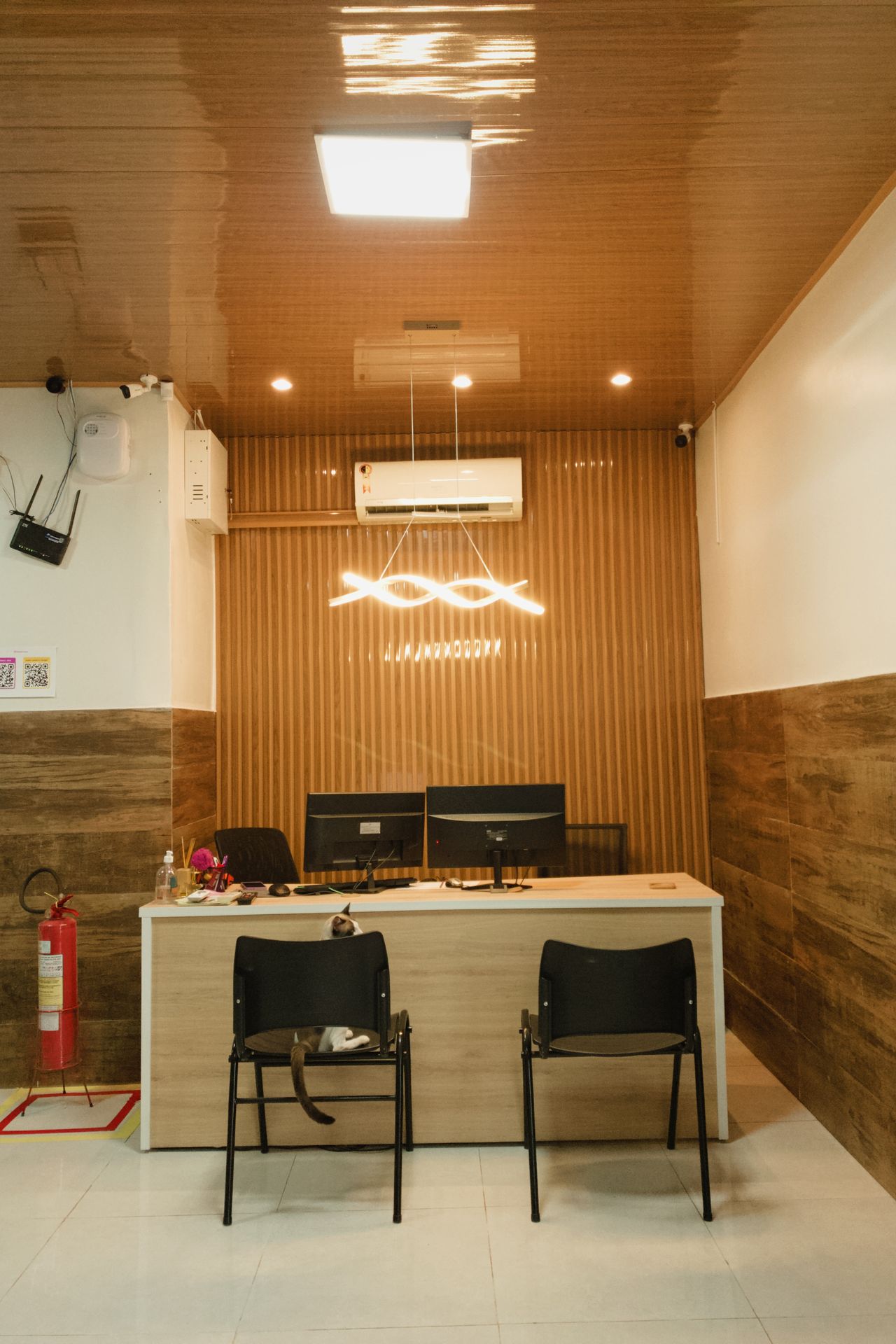 Melissa  Adamcy Alves De Farias-1