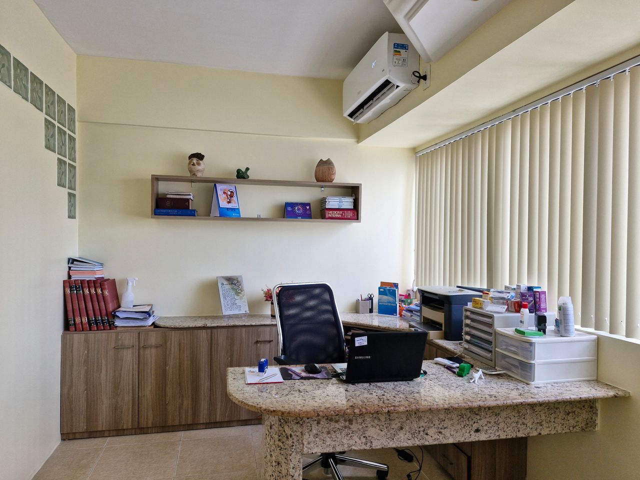 Sandra Regina Monteiro-4