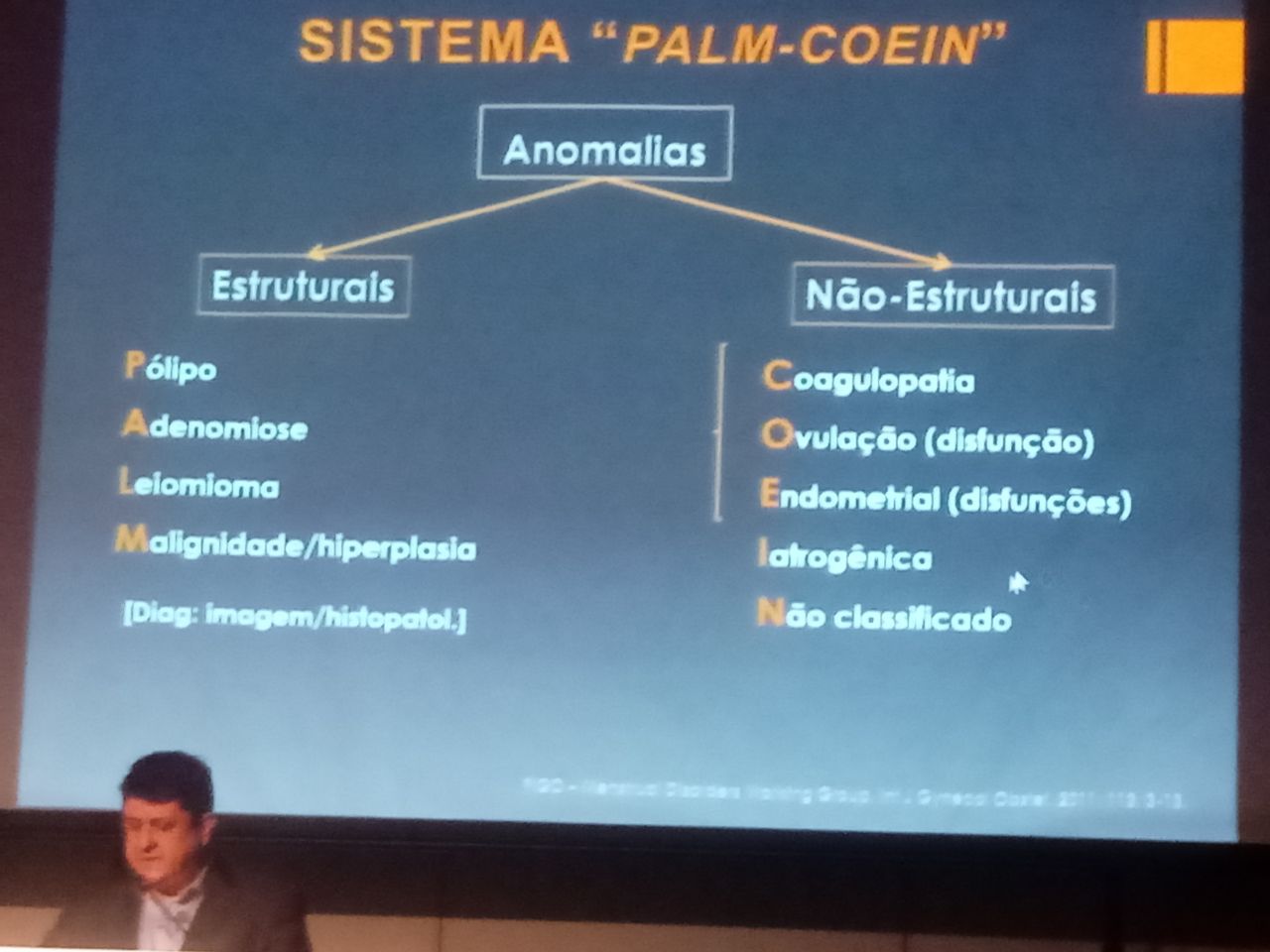 Renata Wanderley Nogueira-38