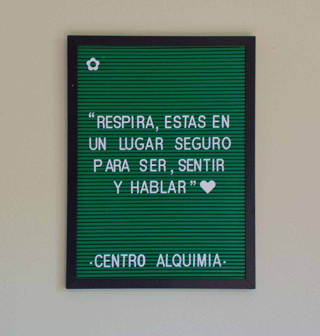 Valentina González Alarcón-4