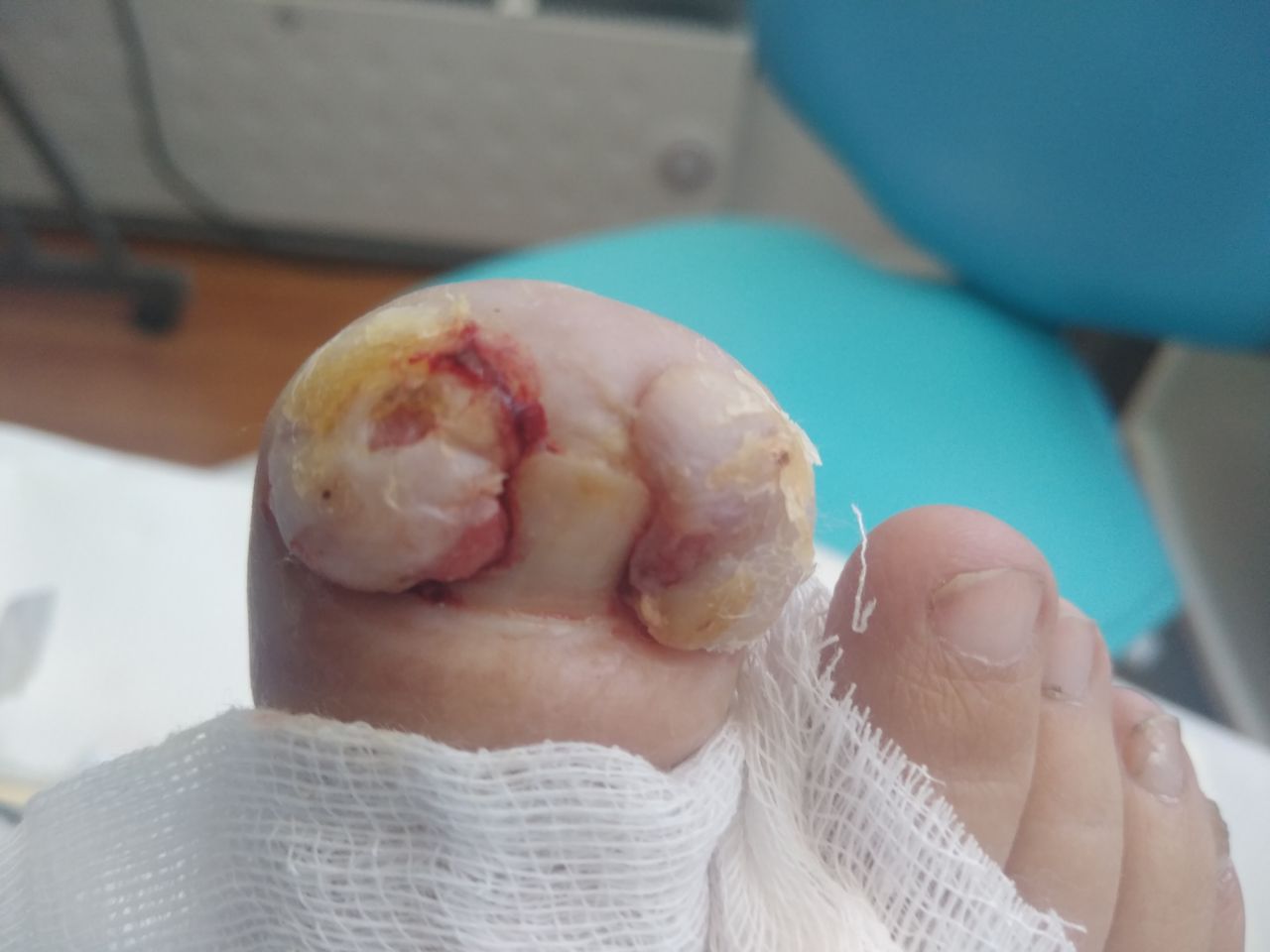 S.patricia Gajardo-3