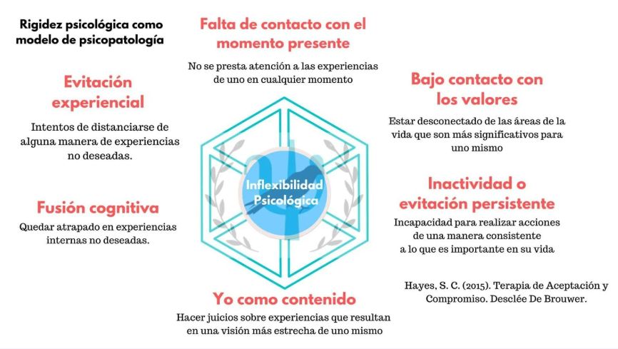 Catalina Escobar Torres-11