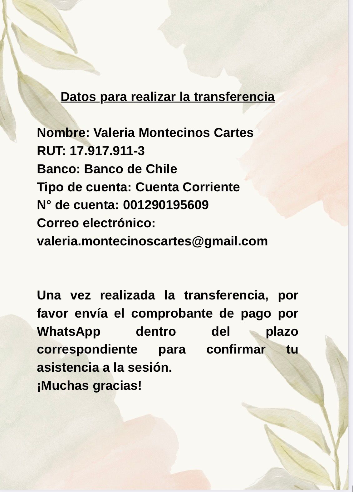 Valeria Montecinos Cartes-6
