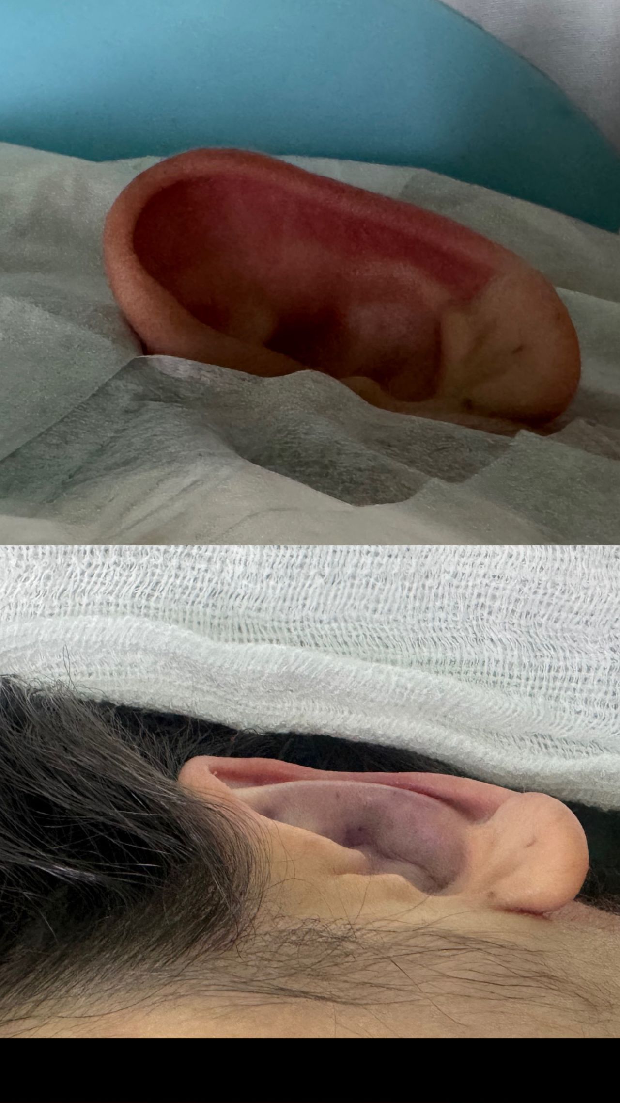 Maria Carolina Souza-9