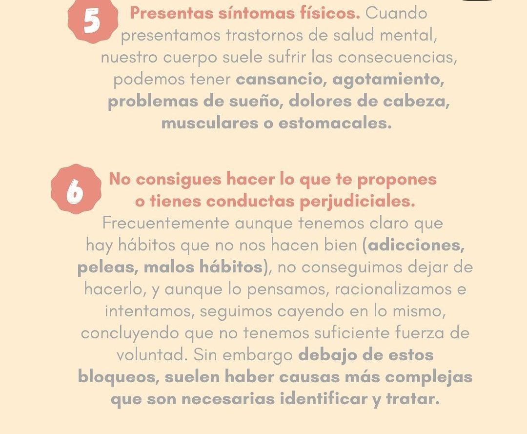 Carolina Rickenberg-7