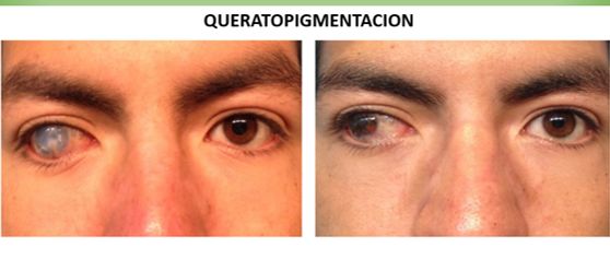 Jorge Schwember Fernandez-10