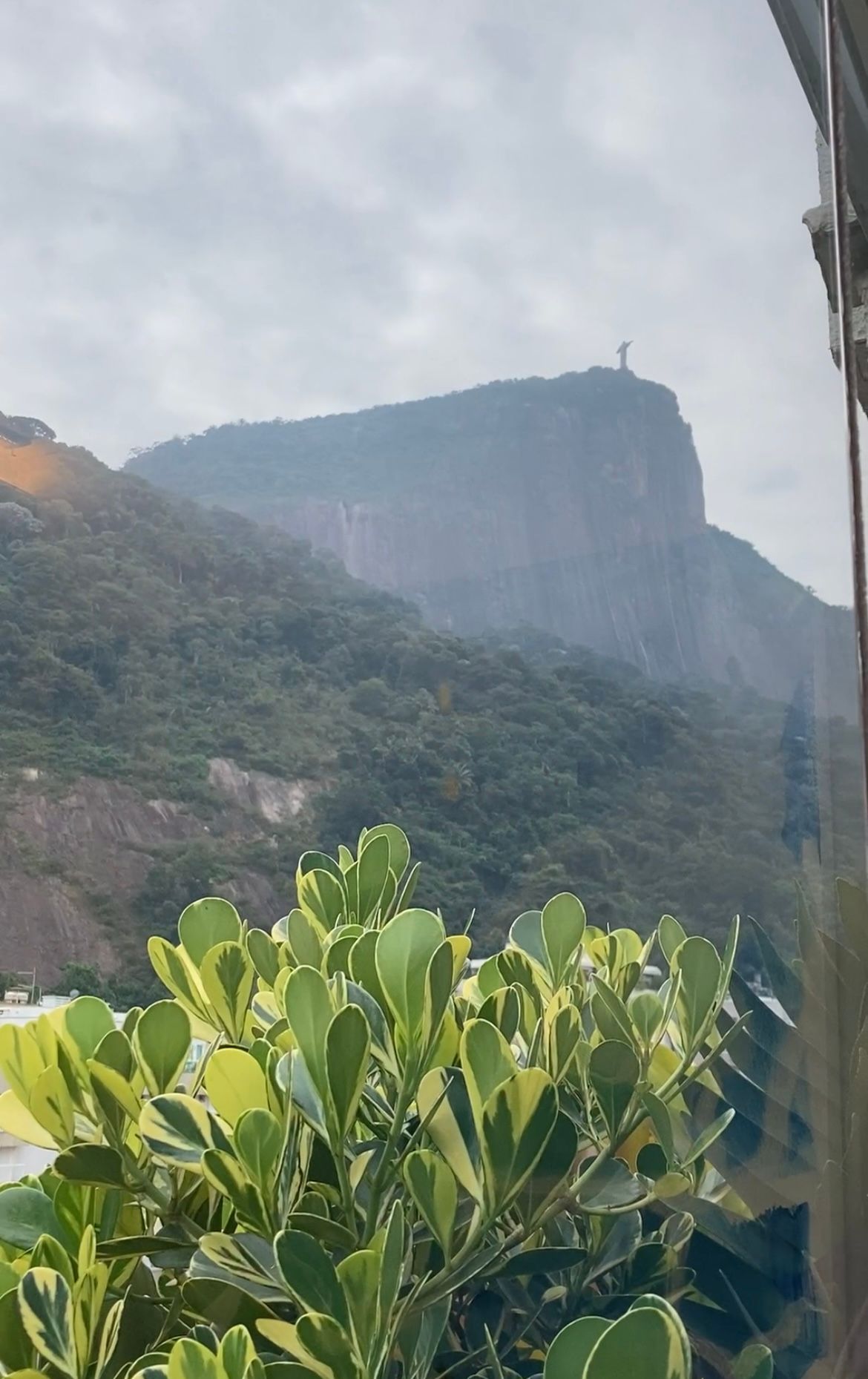 Luís Felipe Mendes Rodrigues-0