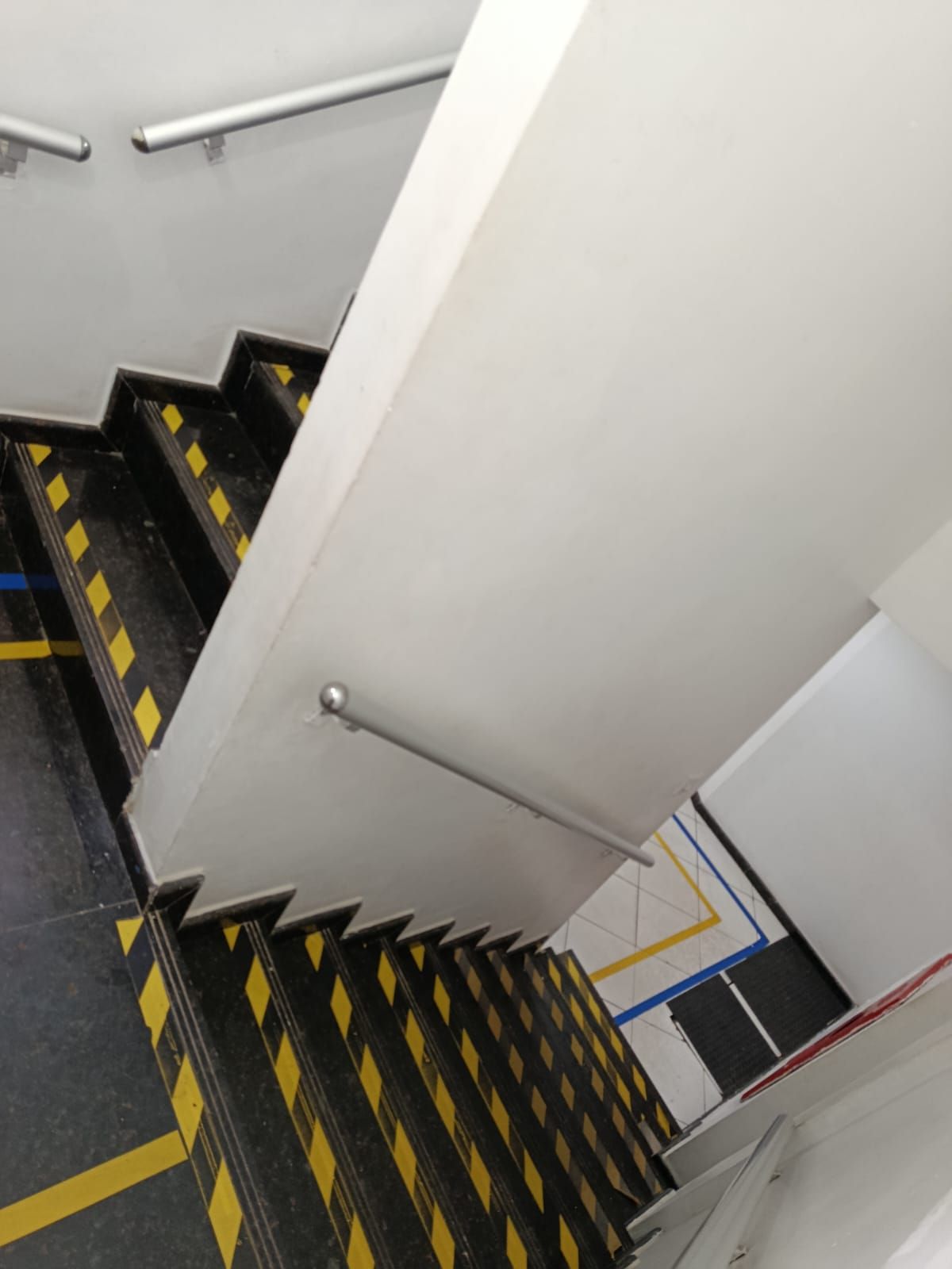 Ana Carolina Zuque De Medeiros-13