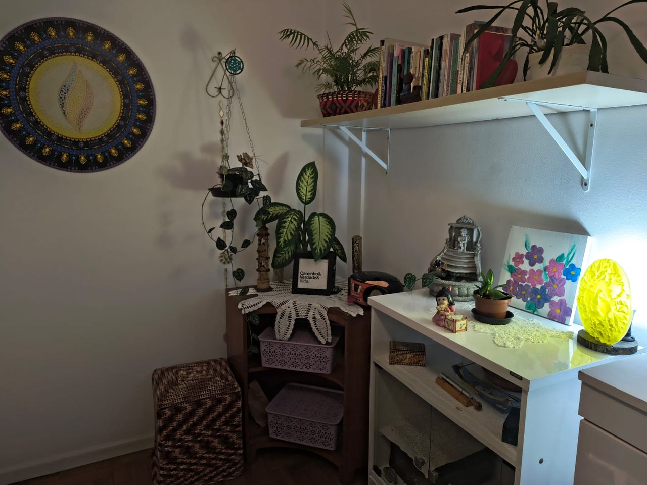 Márcia Carneiro Knapik-5