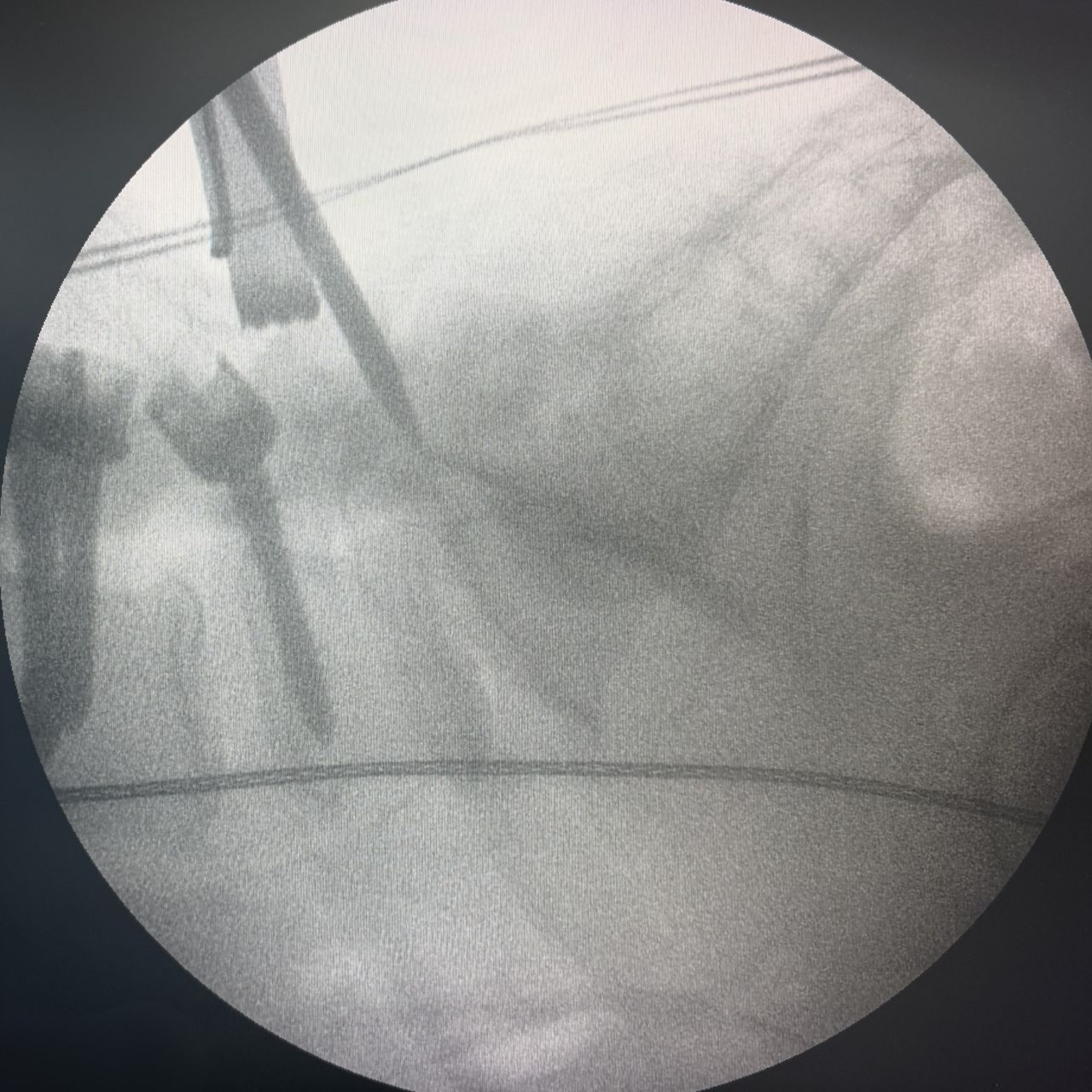 David Tafur Muñoz-2462