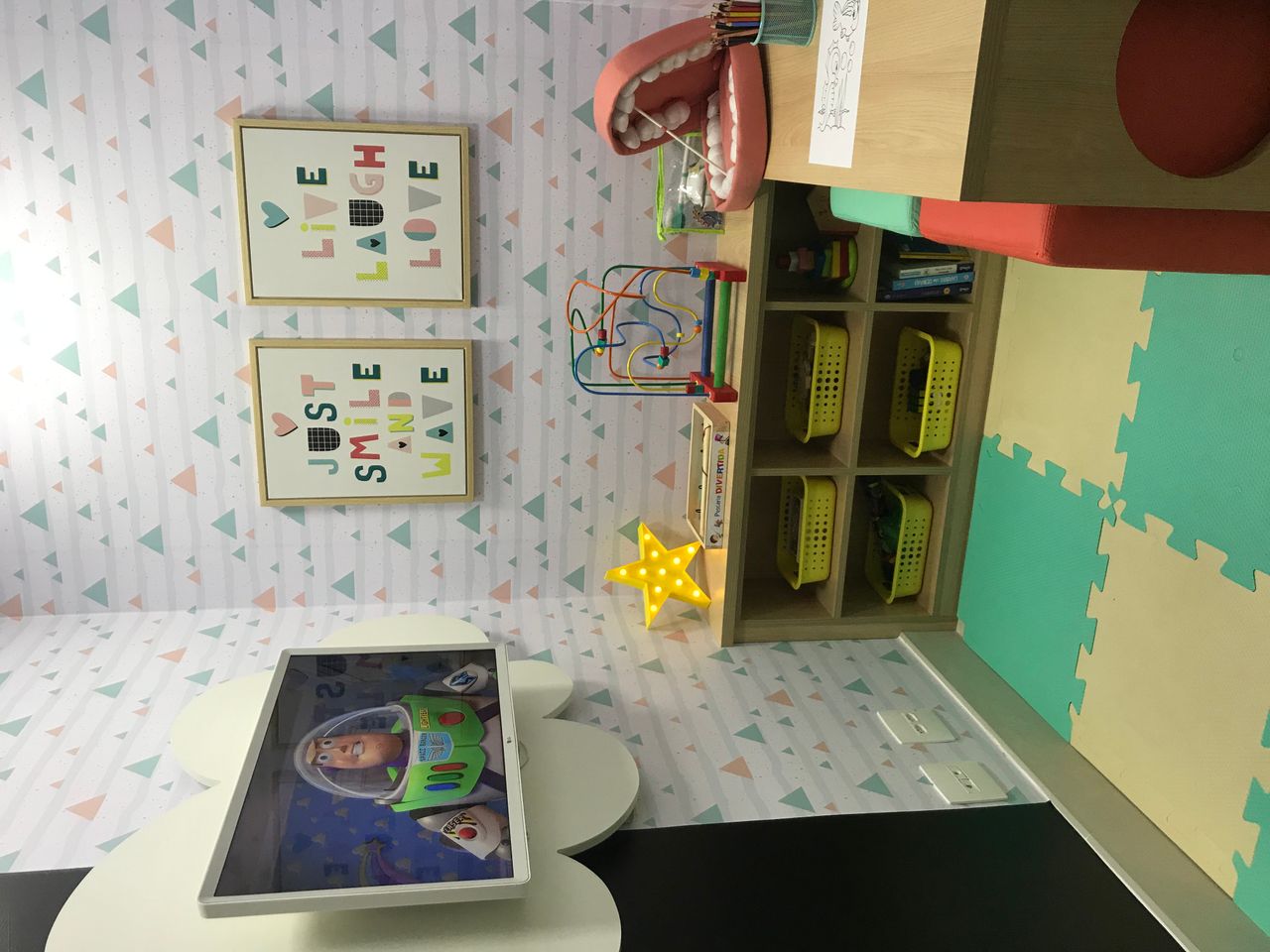 Camila Marques Massaini-6