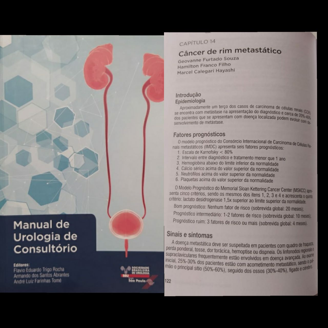 Hamilton Franco Filho-1