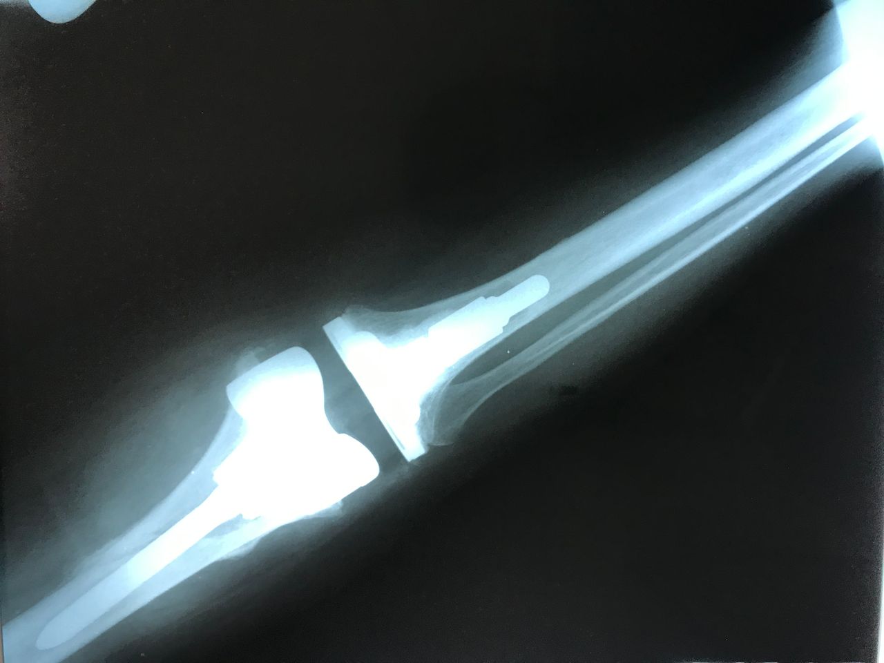 Eduardo Ramalho De Moraes-13