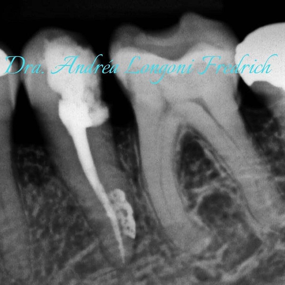 Andréa Longoni Fredrich-2